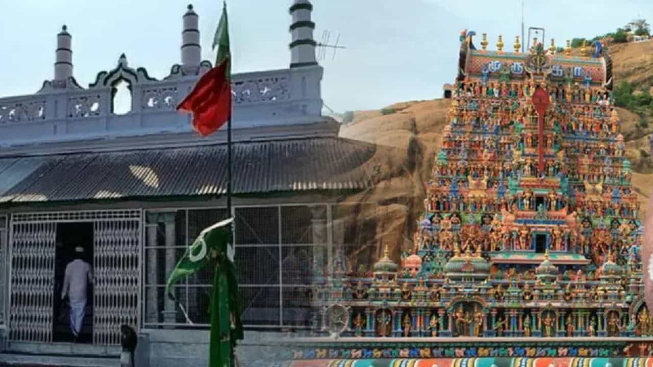 சர்ச்சைக்குரிய திருப்பரங்குன்றம் மலை...சந்தனக்கூடு விழா நடத்த அனுமதி...இந்து மக்கள் கட்சி எதிர்ப்பு! சர்ச்சைக்குரிய திருப்பரங்குன்றம் மலை...சந்தனக்கூடு விழா நடத்த அனுமதி...இந்து மக்கள் கட்சி எதிர்ப்பு!