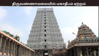 திருவண்ணாமலையில் ஏற்றப்பட்ட மகாதீபம் - பக்தர்கள் தரிசனம்...