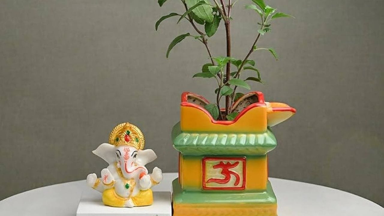 துளசி விஷ்ணுவின் தெய்வீகத் துணைவியாகக் கருதப்படுவதால், விஷ்ணுவுடன் தொடர்புடைய பொருட்கள் பொருத்தமானவையாகக் கருதப்படுகின்றன. எனவே, பக்தர்கள் பொதுவாக விஷ்ணுவின் கல் வடிவம், லட்சுமி தேவியின் சிலை, விஷ்ணு தொடர்பான பிற சின்னங்கள் அல்லது பொருட்களை வைக்கலாம்.சில வாஸ்து நிபுணர்கள் கூறுவது, துளசி செடி அருகே சிவலிங்கம் அல்லது விநாயகர் சிலைகளை வைப்பது எதிர்மறையான சக்திகளை உருவாக்கலாம் என்று கூறுகின்றனர்.