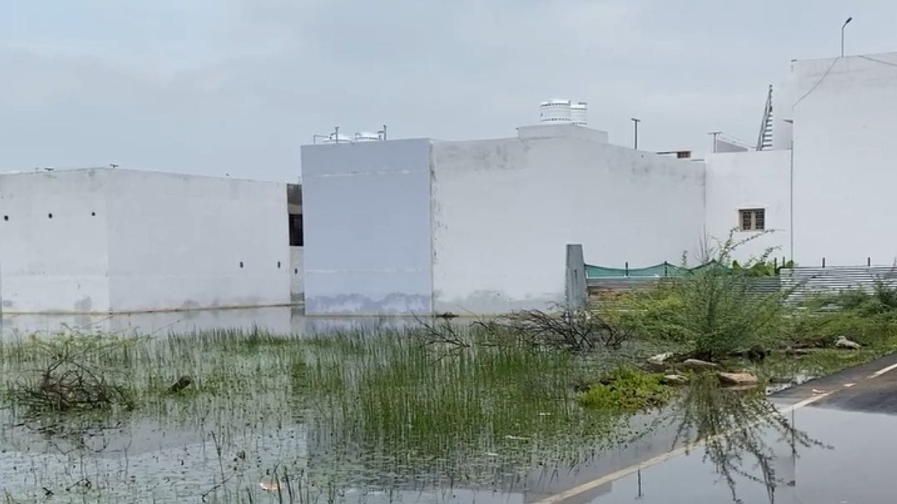 தூத்துக்குடியில் வடியாத மழைநீர்.. மக்கள் பாதிப்பு!