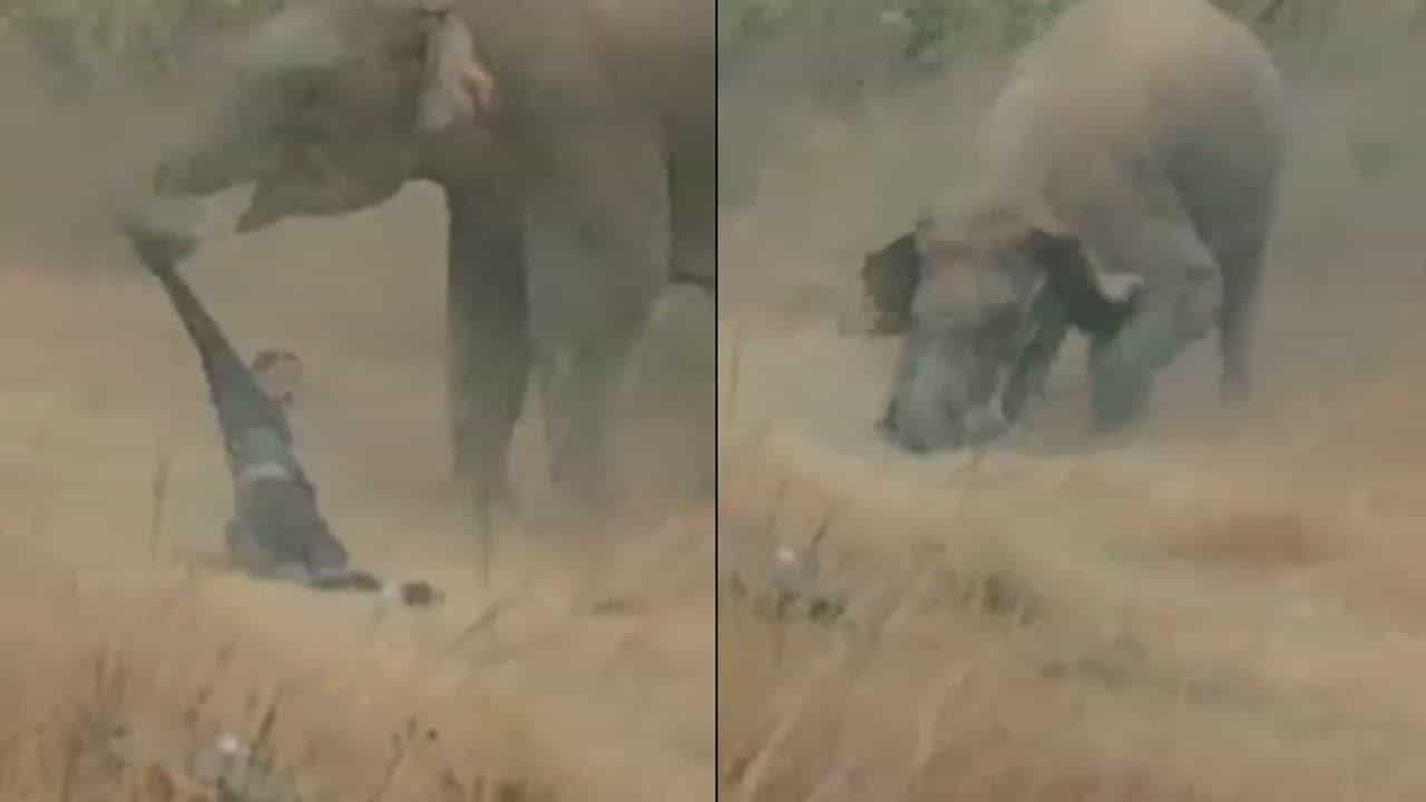 காட்டு யானைகளுடன் செல்பி...ஆக்ரோஷமான யானை...இளைஞருக்கு நேர்ந்த கதி!