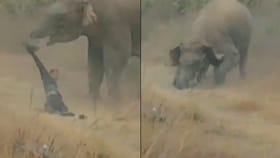 காட்டு யானைகளுடன் செல்பி…ஆக்ரோஷமான யானை…இளைஞருக்கு நேர்ந்த கதி!...