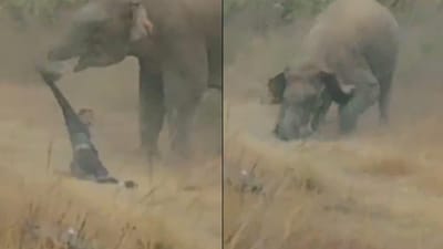 யானையுடன் செல்பி எடுக்க முயன்ற இளைஞருக்கு நேர்ந்த கதி!