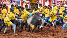 2026-இன் முதல் ஜல்லிக்கட்டு போட்டி…காளைகளுடன் மல்லுகட்டிய காளையர்கள்!...