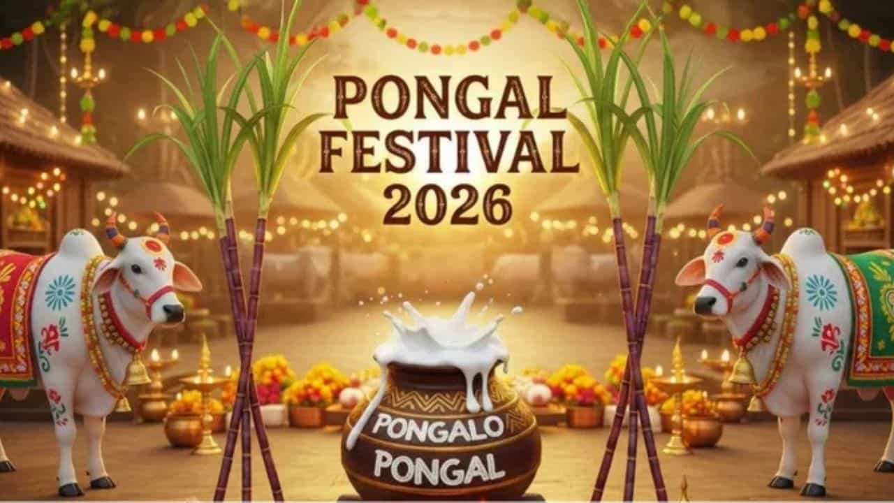 பொங்கல் பண்டிகை...உறவினர்களுக்கு மகிழ்ச்சியான வாழ்த்து செய்தி...இப்படி அனுப்பலாம்!