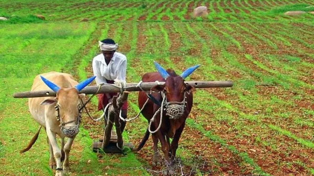 மத்திய அரசின் பட்ஜெட் கூட்டத்தொடர் ஜனவரி 28, 2026 அன்று தொடங்குகிறது. அதனை தொடர்ந்து பிப்ரவரி 1, 2026 அன்று மத்திய நிதியமைச்சர் நிர்மலா சீதாராமன் 2026 ஆம் ஆண்டுக்கான மத்திய பட்ஜெட்டை தாக்கல் செய்ய உள்ளார். இந்த பட்ஜெட் தொடர்பாக பல்வேறு தரப்புகளில் இருந்து பல எதிர்ப்பார்ப்புகள் எழுந்து வருகின்றன.

