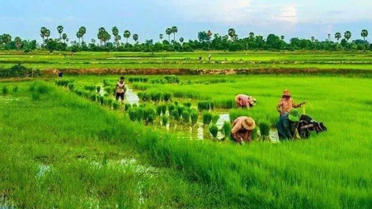 அந்த வகையில், 2026 ஆம் ஆண்டுக்கான மத்திய பட்ஜெட் குறித்து விவசாயிகள் தங்களது எதிர்ப்பார்ப்புகளை முன்வைத்து வருகின்றனர். 2026 ஆம் ஆண்டு பட்ஜெட்டுக்கான எதிர்ப்பார்ப்புகள் ஒருபுறம் இருக்க ஏற்கனவே பட்ஜெட்டில் அறிவிக்கப்பட்ட திட்டங்கள் பல செயல்படுத்தப்படாமல் உள்ளதாக விவசாயிகள் தரப்பில் கூறப்படுகிறது. 