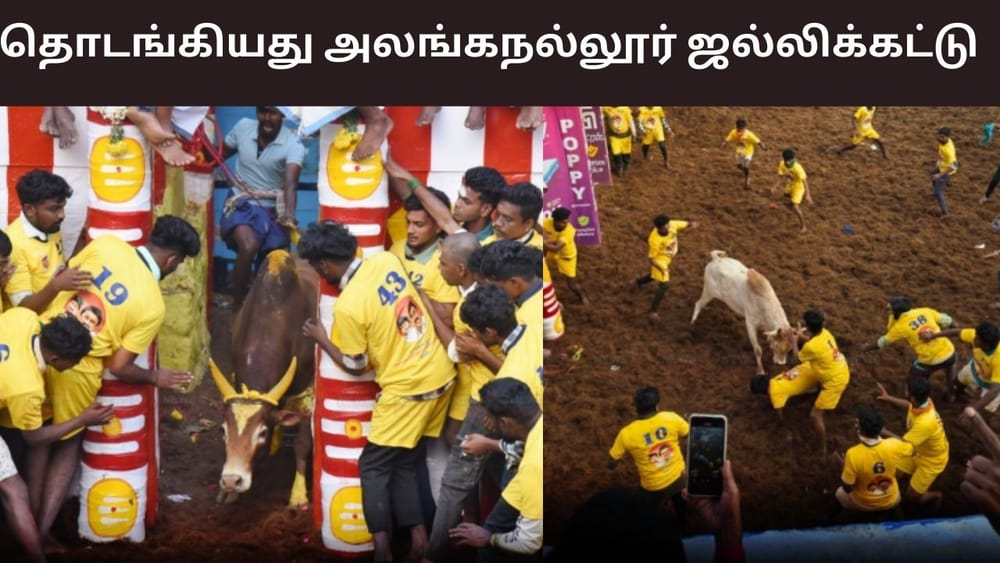 கோலாகலமாக தொடங்கிய அலங்கநல்லூர் ஜல்லிக்கட்டு..