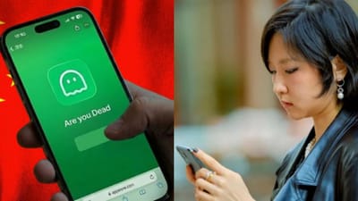 மிகவும் பிரபலமான 