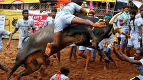 அவனியாபுரம் ஜல்லிக்கட்டு… பாதுகாப்பு பணியில் 2200 போலீஸ்.. இந்த பகுதிக்கு செல்ல தடை...