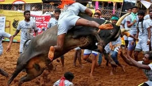 அவனியாபுரம் ஜல்லிக்கட்டு… பாதுகாப்பு பணியில் 2200 போலீஸ்.. இந்த பகுதிக்கு செல்ல தடை