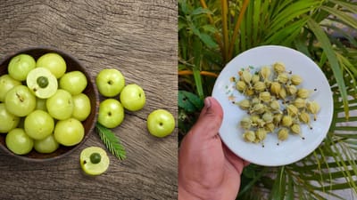 நெல்லிக்காய் மட்டுமல்ல.. விதைகளிலும் இவ்வளவு நன்மைகளா..?