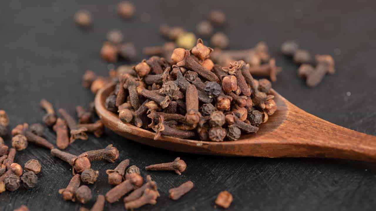 Health Tips: உணவுக்குப் பிறகு ஒரு கிராம்பு.. இரத்த சர்க்கரையை கட்டுக்குள் வைக்கும்!