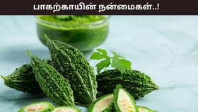 Health Tips: உடலில் இந்த பிரச்சனைகளா..? 7 நாட்களில் பலன் தரும் பாகற்காய்..!...