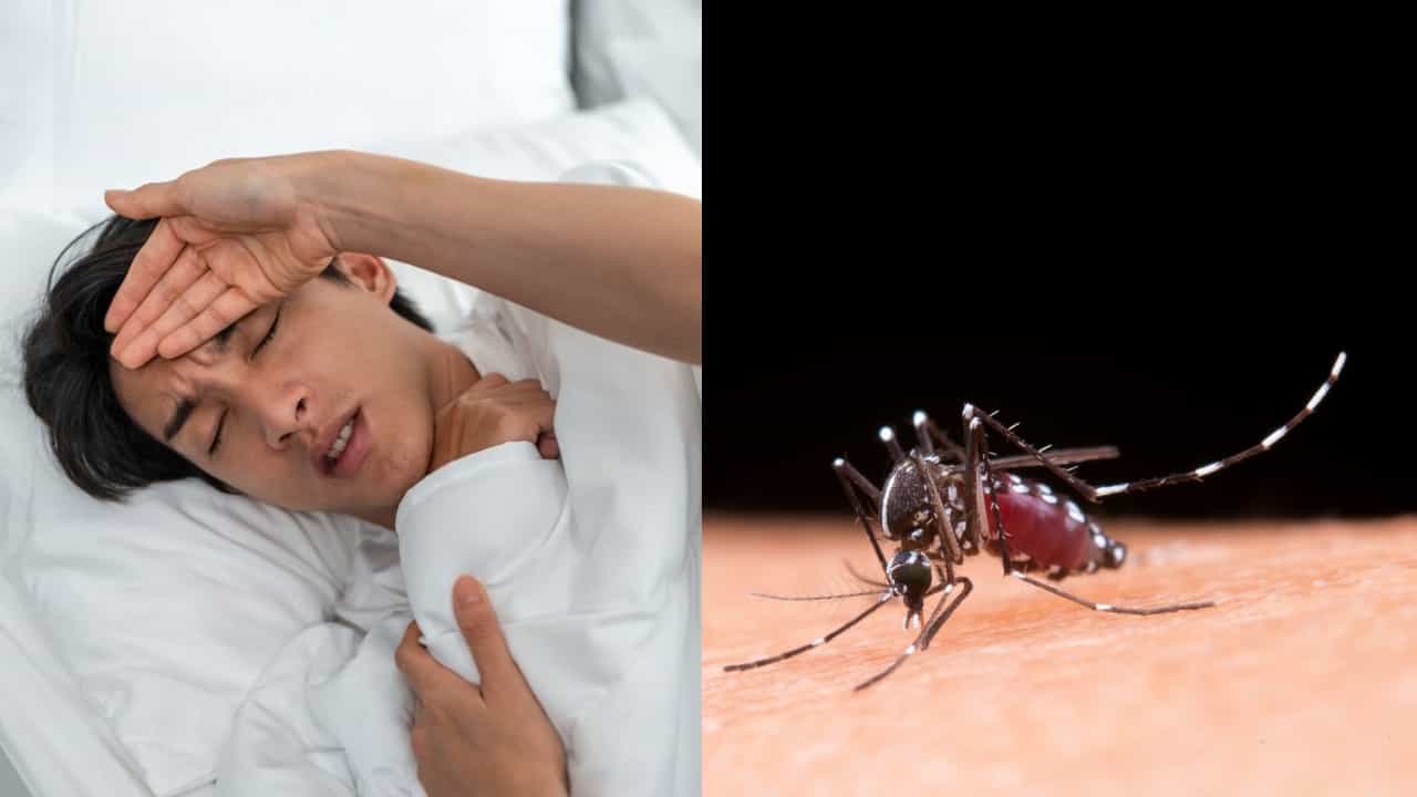 Health Tips: தமிழ்நாட்டில் அதிகரிக்கும் சிக்குன் குனியா.. இதன் அறிகுறிகள் என்ன..?