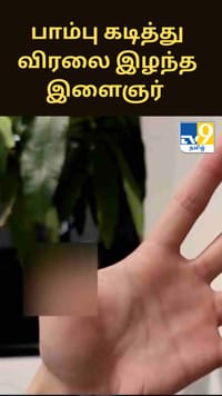 செல்லப்பிராணியாக வளர்த்த பாம்பு கடித்து விரலை இழந்த இளைஞர் - சீன இளைஞருக்கு நடந்த சோகம்...