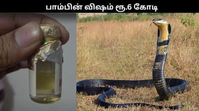 ரூ.6 கோடி மதிப்பிலான கொடிய பாம்பு விஷம் பறிமுதல்..