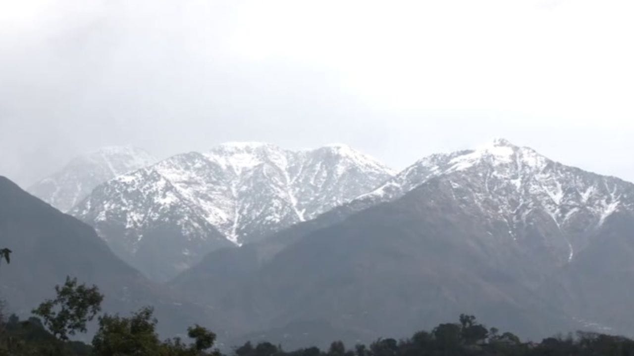 தர்மசாலாவில் கடும் பனிப்பொழிவு.. மக்கள் பாதுகாப்பாக இருக்க அறிவுறுத்தல்! தர்மசாலாவில் கடும் பனிப்பொழிவு.. மக்கள் பாதுகாப்பாக இருக்க அறிவுறுத்தல்!