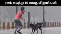 நாய் கடித்து 10 வயது சிறுமி பரிதாப பலி - அதிர்ச்சி சம்பவம்!...