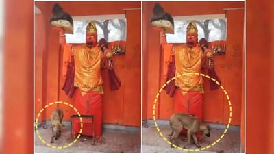 அனுமன் சிலையை 36 மணி நேரம் சுற்றி வந்த நாய்!
