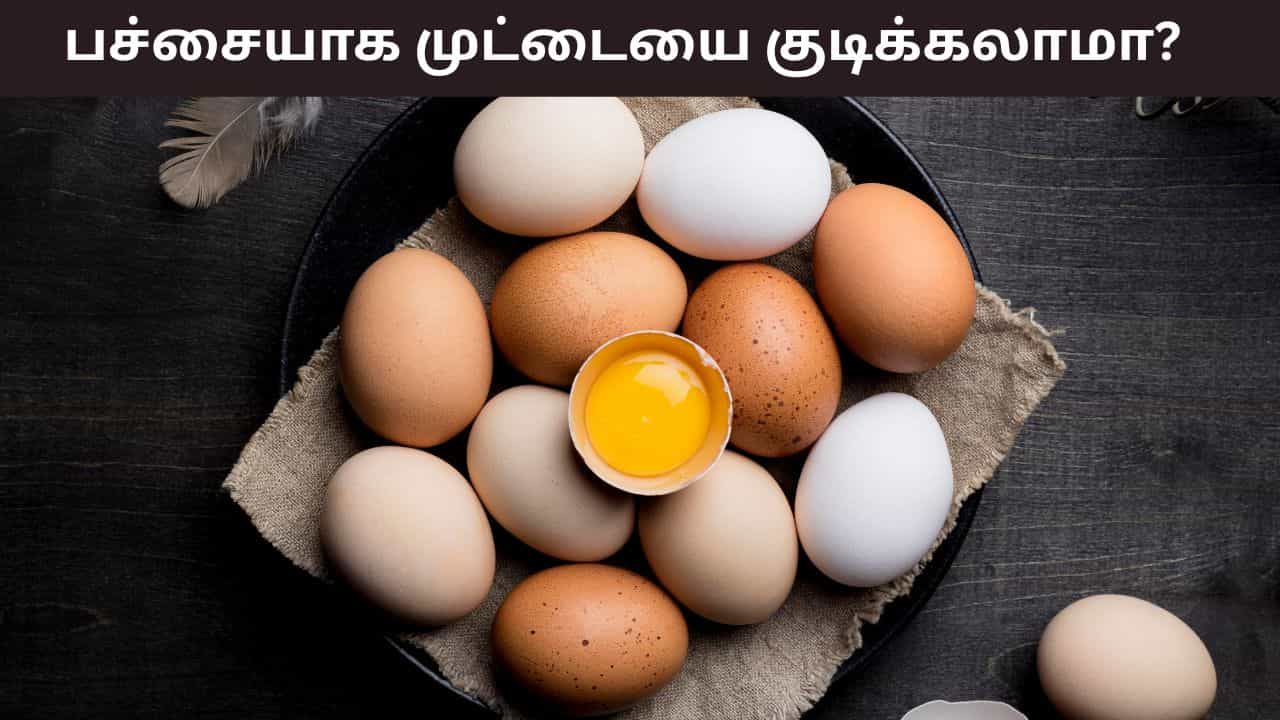 Health Tips: பச்சை முட்டையை குடிப்பது உடலுக்கு அதிக புரதத்தை தருமா? நிபுணர்கள் கூறுவது என்ன?