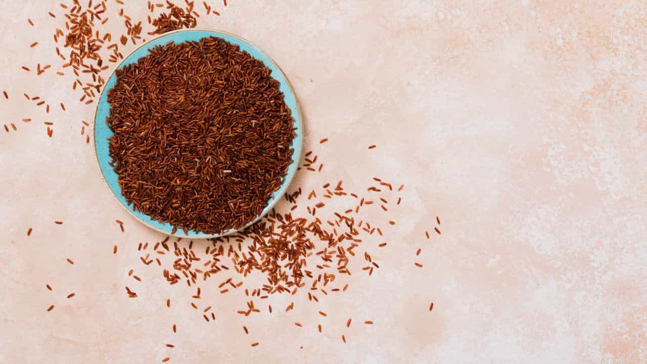 Health Tips: தினமும் 2 டீஸ்பூன் அரைத்த ஆளி விதை பொடி.. இந்த நோய்கள் மறைந்துவிடும்!