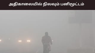 அதிகரிக்கும் பகல் நேர வெப்பநிலை.. அதிகாலையில் நிலவும் பனிமூட்டம் – வானிலை ரிப்போர்ட்..