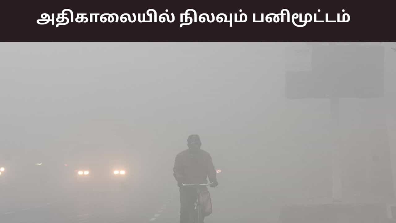 அதிகரிக்கும் பகல் நேர வெப்பநிலை.. அதிகாலையில் நிலவும் பனிமூட்டம் - வானிலை ரிப்போர்ட்..