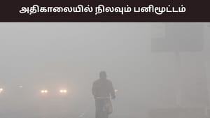 அதிகரிக்கும் பகல் நேர வெப்பநிலை.. அதிகாலையில் நிலவும் பனிமூட்டம் – வானிலை ரிப்போர்ட்..