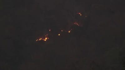 கேரளாவில் வனப்பகுதியில் திடீரென ஏற்பட்ட காட்டுத்தீ