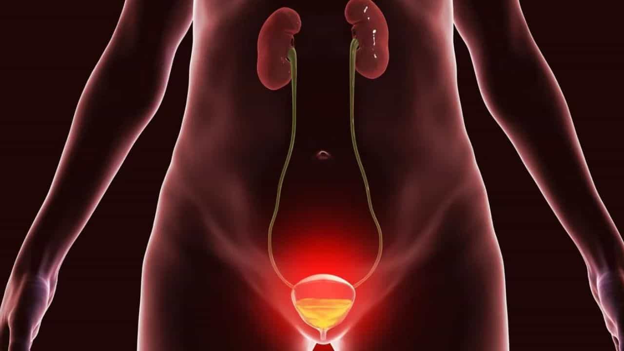 அடிக்கடி சிறுநீர் கழிக்க என்ன காரணம் தெரியுமா? இப்படி ஒரு நோயாக இருக்கலாம்!