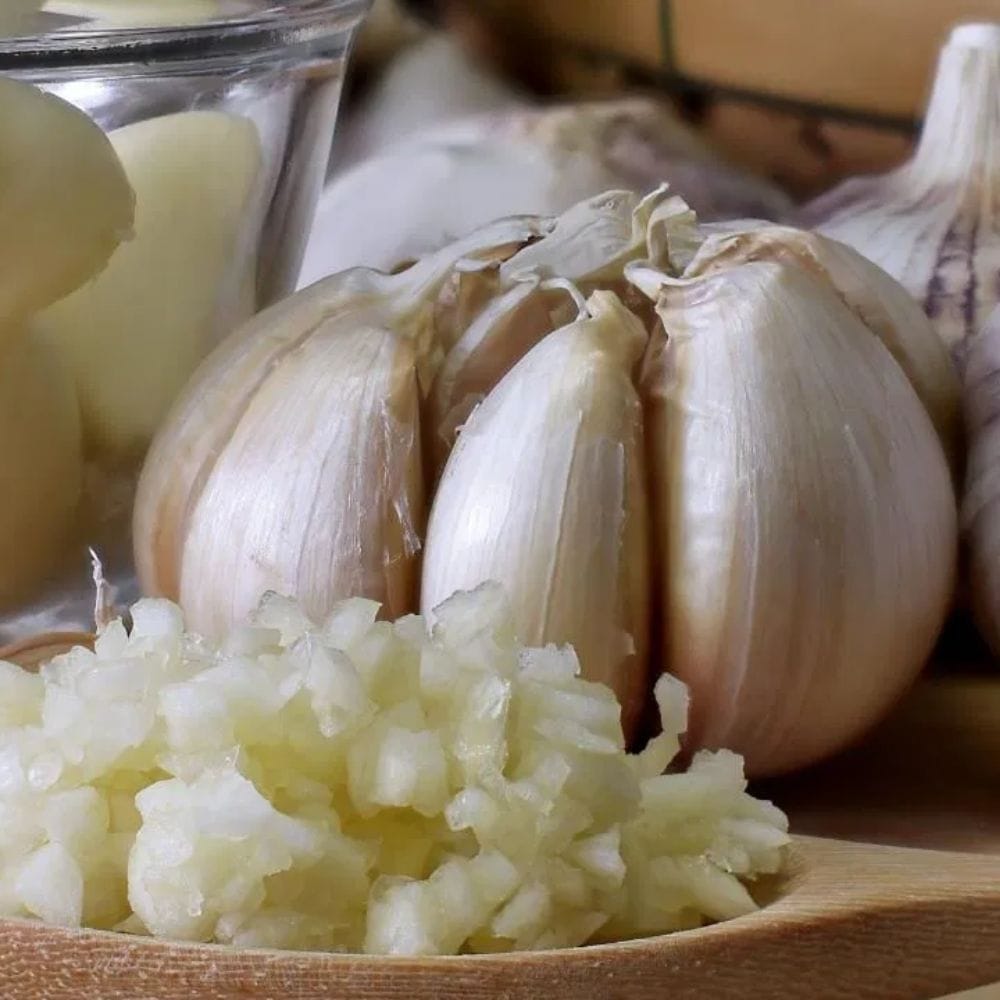 பூண்டு என்பது கிட்டத்தட்ட ஒவ்வொரு வீட்டு சமையலறையிலும் காணப்படும் ஒரு மூலப்பொருள். இது சுவையானது மட்டுமல்ல, ஆரோக்கியத்திற்கும் ஒரு புதையல். அந்தவகையில், தினமும் பூண்டு சாப்பிடுவதால் ஏற்படும் நன்மைகளை பற்றி தெரிந்து கொள்வோம்.