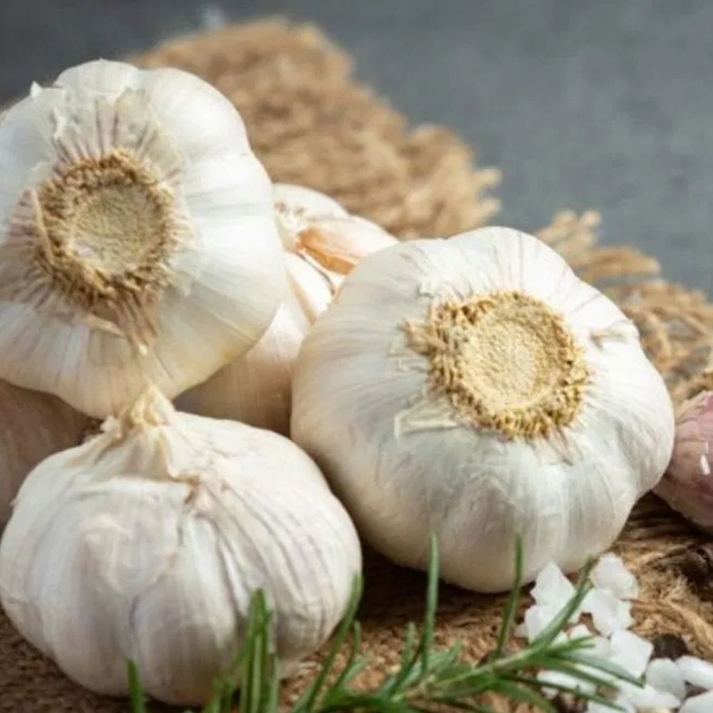 பூண்டில் உங்கள் நோய் எதிர்ப்பு சக்தியை அதிகரிக்கும் ஊட்டச்சத்துக்கள் உள்ளன. இதில் வைட்டமின்கள் சி மற்றும் பி6, மாங்கனீசு மற்றும் செலினியம் ஆகியவை நிறைந்துள்ளன, அவை பல்வேறு நோய்களிலிருந்து பாதுகாக்கின்றன.