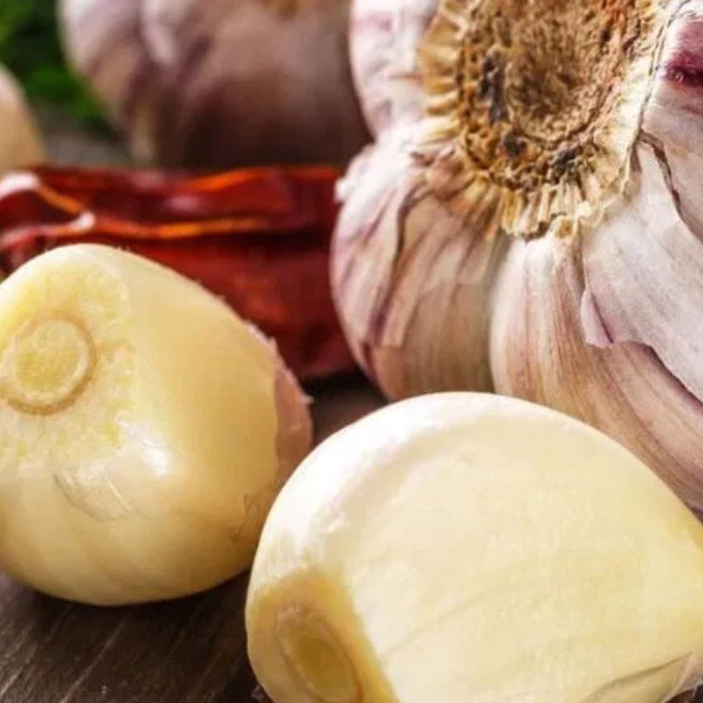 பூண்டில் பல்வேறு பருவகால நோய்களிலிருந்து உங்களைப் பாதுகாக்க உதவும் ஆண்டிபயாடிக் பண்புகள் உள்ளன. அதனால்தான் உங்களுக்கு சளி, காய்ச்சல் அல்லது தொண்டை வலி ஏற்படும் போதெல்லாம் பச்சையாக பூண்டை சாப்பிட பரிந்துரைக்கப்படுகிறது.