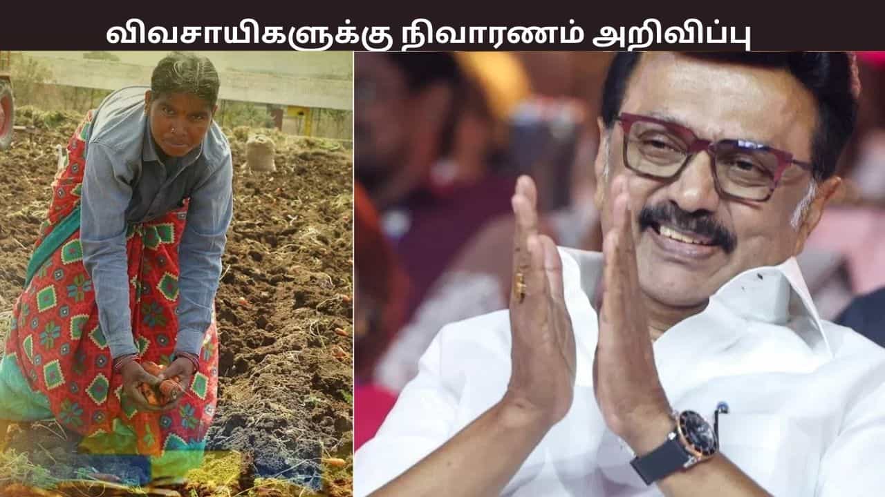 நிவாரணம் அறிவிப்பு... விவசாயிகளின் வங்கி கணக்கில் நேரடியாக செலுத்தப்படும் - தமிழக அரசு அறிவிப்பு