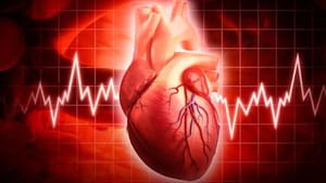 குளிர்காலத்தில் மாரடைப்பு அதிகம் ஏற்பட இதுதான் காரணம்.. டாக்டர் சொல்லும் விளக்கம்! குளிர்காலத்தில் மாரடைப்பு அதிகம் ஏற்பட இதுதான் காரணம்.. டாக்டர் சொல்லும் விளக்கம்!