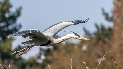 தமிழகத்தில் முதல் சர்வதேச பறவைகள் மையம்!