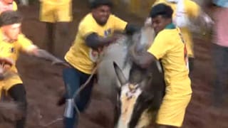 சீறிப்பாயும் காளைகள்.. அவனியாபுரத்தில் தொடங்கியது ஜல்லிக்கட்டு!