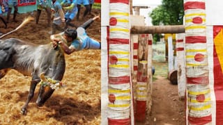 அவனியாபுரத்தில் நாளை ஜல்லிக்கட்டு போட்டி தொடக்கம்…இறுதி கட்டத்தில் பணிகள்…கார்,டிராக்டர் உள்ளிட்ட பரிசுகள்!