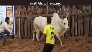 சாதி பெயர் கூடாது… தீண்டாமை உறுதிமொழி… – ஜல்லிக்கட்டு போட்டிகளுக்கான கட்டுபாடுகள் என்ன?