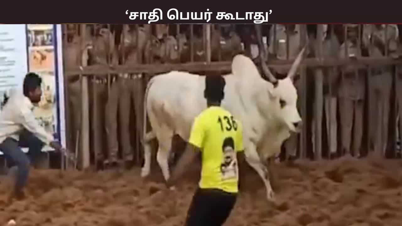 சாதி பெயர் கூடாது... தீண்டாமை உறுதிமொழி... - ஜல்லிக்கட்டு போட்டிகளுக்கான கட்டுபாடுகள் என்ன?
