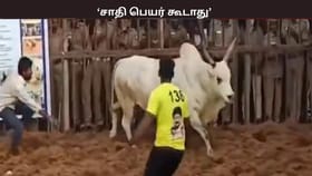 சாதி பெயர் கூடாது… தீண்டாமை உறுதிமொழி… – ஜல்லிக்கட்டு போட்டிகளுக்கான கட்டுபாடுகள் என்ன?...
