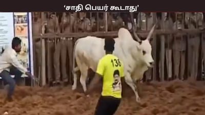 சாதி பெயர் கூடாது... - ஜல்லிக்கட்டுக்கான கட்டுபாடுகள் என்ன?