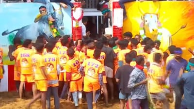 கலைஞர் நூற்றாண்டு ஜல்லிக்கட்டு மைதானத்தில் சிறப்பு ஜல்லிக்கட்டு!