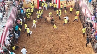 சூரியூர் ஜல்லிக்கட்டு.. சீறிப் பாய்ந்த 700 காளைகள்!