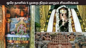 ஒரே நாளில் ஐந்து நிறங்களில் மாறும் சிவலிங்கம் – தமிழ்நாட்டின் களியாணசுந்தரேஸ்வரர் கோவிலின் அதிசயம்...