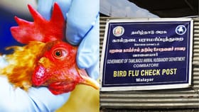 கேரளாவில் பறவை காய்ச்சல் பரவல்…தமிழக எல்லையில் பலத்த கண்காணிப்பு…வாகனங்களுக்கு தடை!...