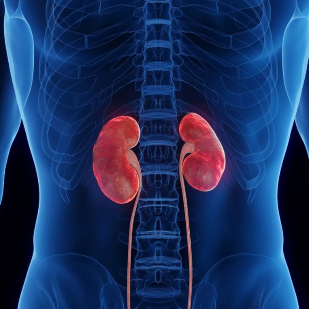 கைகள் மற்றும் கால்களில் மரத்துப் போதல் அல்லது கூச்ச உணர்வு சிறுநீரகப் பிரச்சினைகளின் அறிகுறியாக இருக்கலாம். சிறுநீரக பாதிப்பு நரம்புகளைப் பாதிக்கிறது. இது மருத்துவ மொழியில் புற நரம்பியல் என்று அழைக்கப்படுகிறது. இது கைகள் மற்றும் கால்களில் விசித்திரமான உணர்வுகளை ஏற்படுத்தும்.