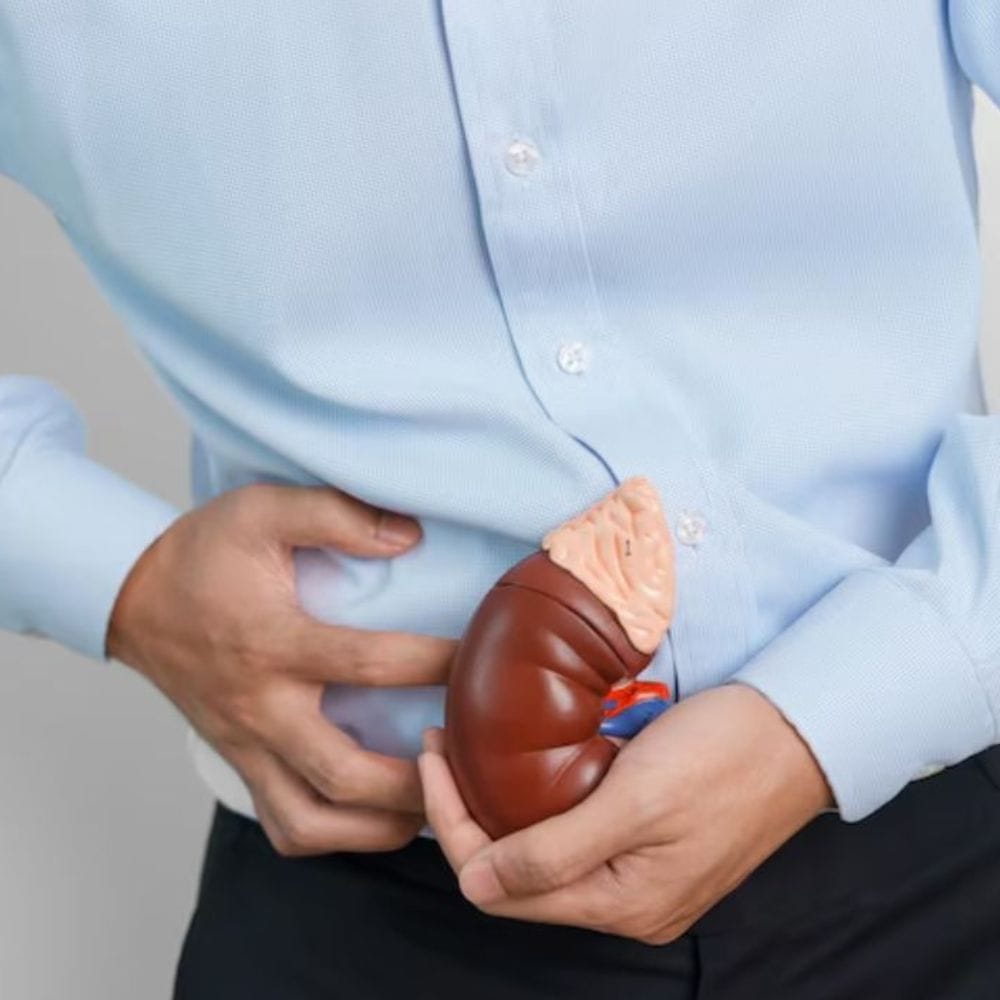 சோர்வு ஆகியவை சிறுநீரகப் பிரச்சினைகளுடன் தொடர்புடையதாக இருக்கலாம். உடலில் நச்சுகள் குவிவது எலும்புகள் மற்றும் தசைகளைப் பாதிக்கும். இந்த அறிகுறிகளில் ஏதேனும் ஒன்றை நீங்கள் சந்தித்தால், உடனடியாக மருத்துவரை அணுகவும். சிறுநீரக பரிசோதனை செய்து, சிறுநீரக நோயை சரியான நேரத்தில் கண்டறிந்தால் கட்டுப்படுத்த முடியும்.