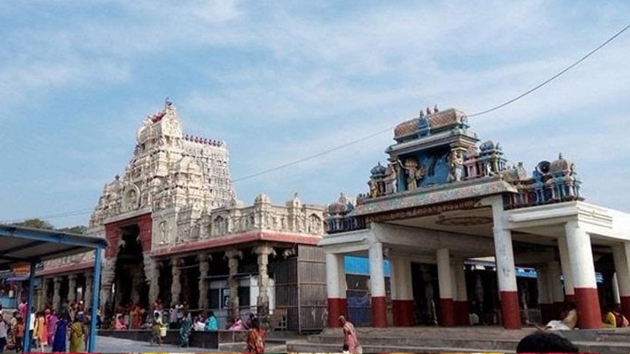 இந்த நாளில், முருக பக்தர்கள் விரதம் இருந்து, உடல்-மனம் தூய்மையுடன் வழிபாடு செய்கிறார்கள். காவடி எடுப்பது, பால் காவடி, பன்னீர் காவடி, புஷ்ப காவடி போன்றவை மூலம் தங்களின் துன்பங்கள், பாவங்கள் நீங்க வேண்டும் என்று பிரார்த்திக்கிறார்கள். சிலர் உடல் துன்பத்தையும் ஏற்று, ஆன்மிக உயர்வை அடைவதே தைப்பூசத்தின் தத்துவம்